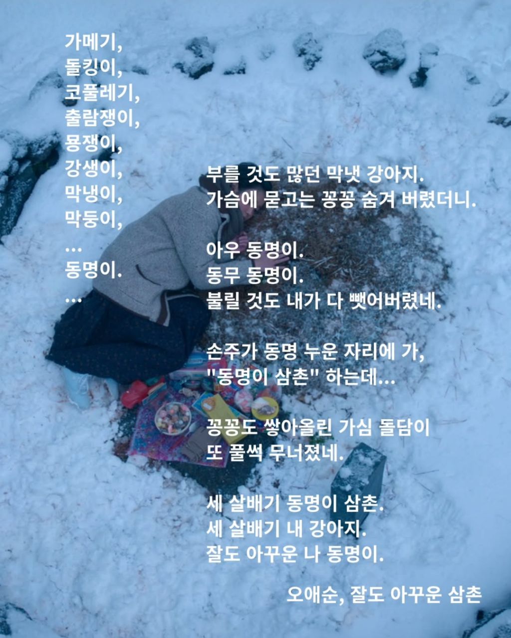 폭싹 속았수다 시 모음집 | 인스티즈