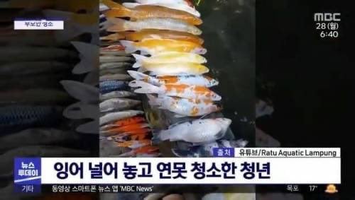 intp 여시 웃음지뢰짤 모음 4 | 인스티즈