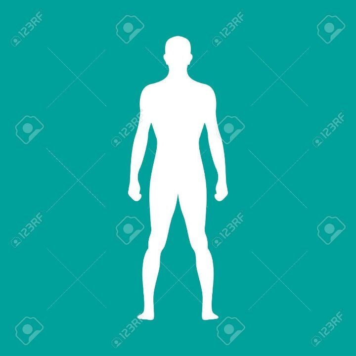 고양이가 귀여운 과학적인 이유 | 인스티즈