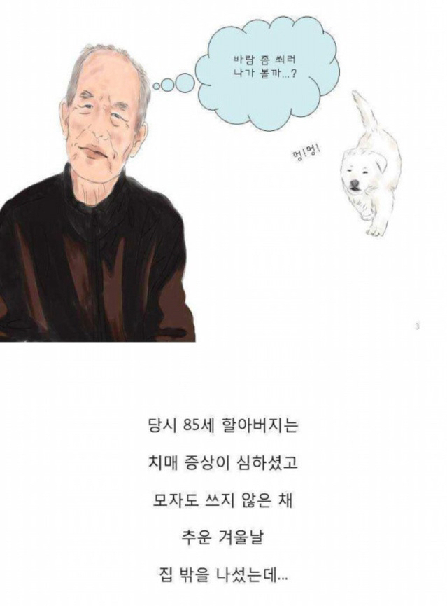 치매 할아버지를 지킨 아기 풍산개.jpgif | 인스티즈