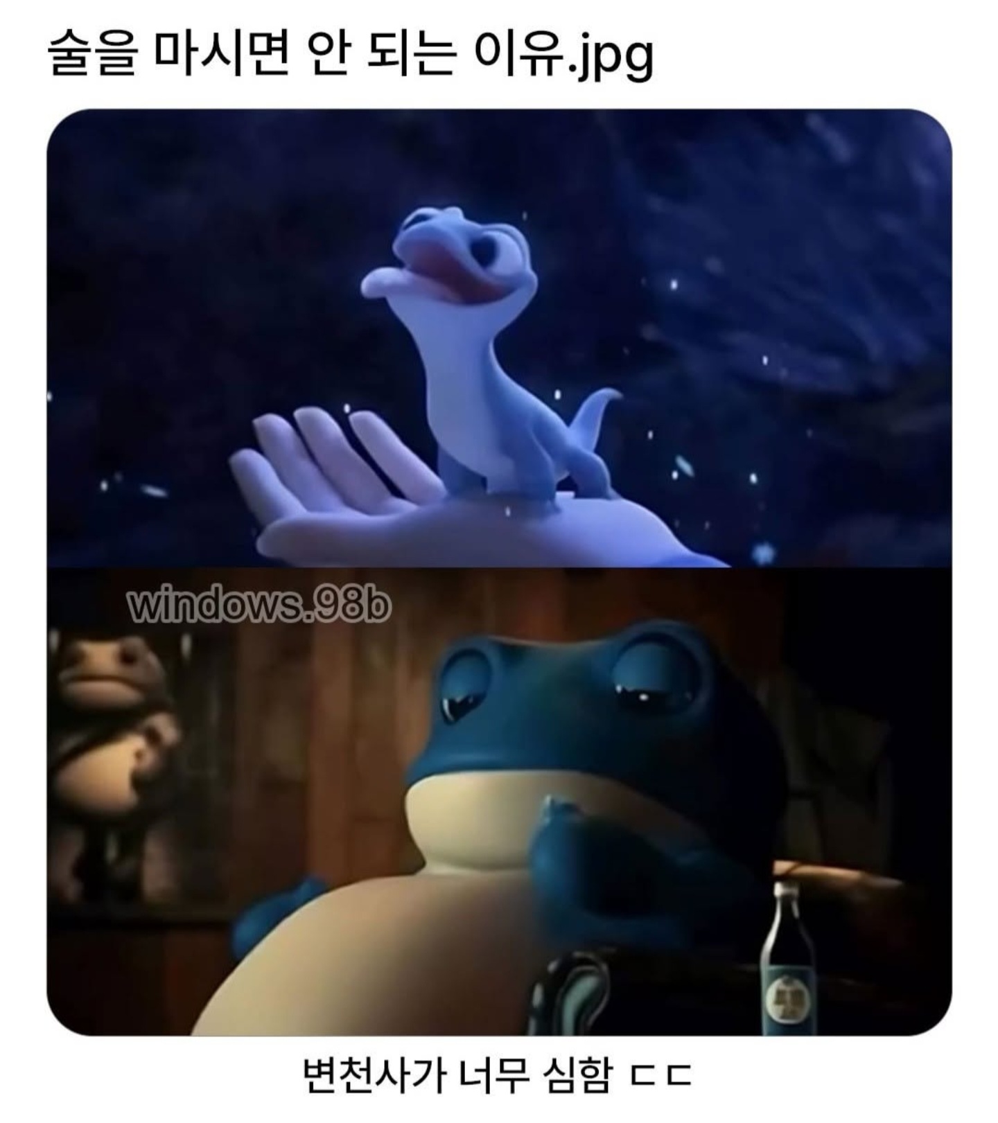 술 마시면 안되는 이유 | 인스티즈