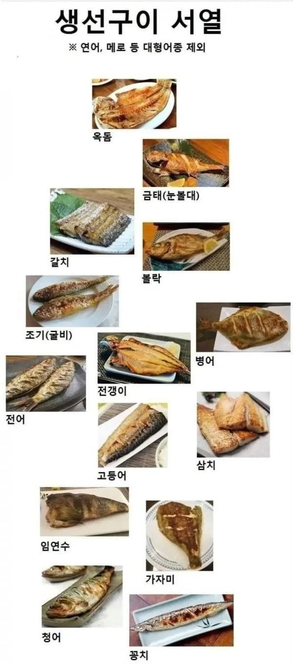 생선구이 서열 | 인스티즈