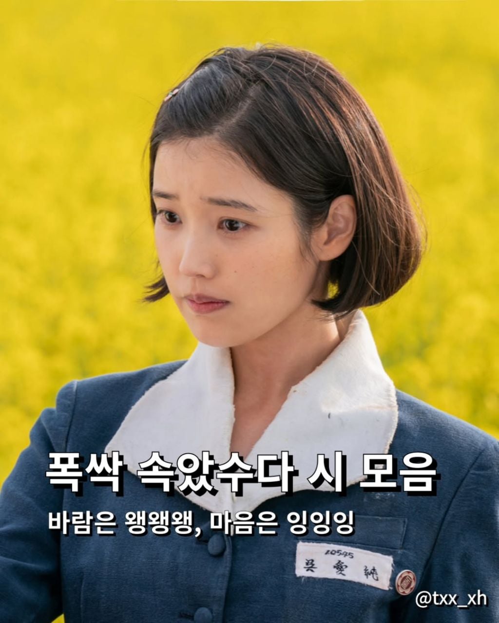 폭싹 속았수다 시 모음집 | 인스티즈