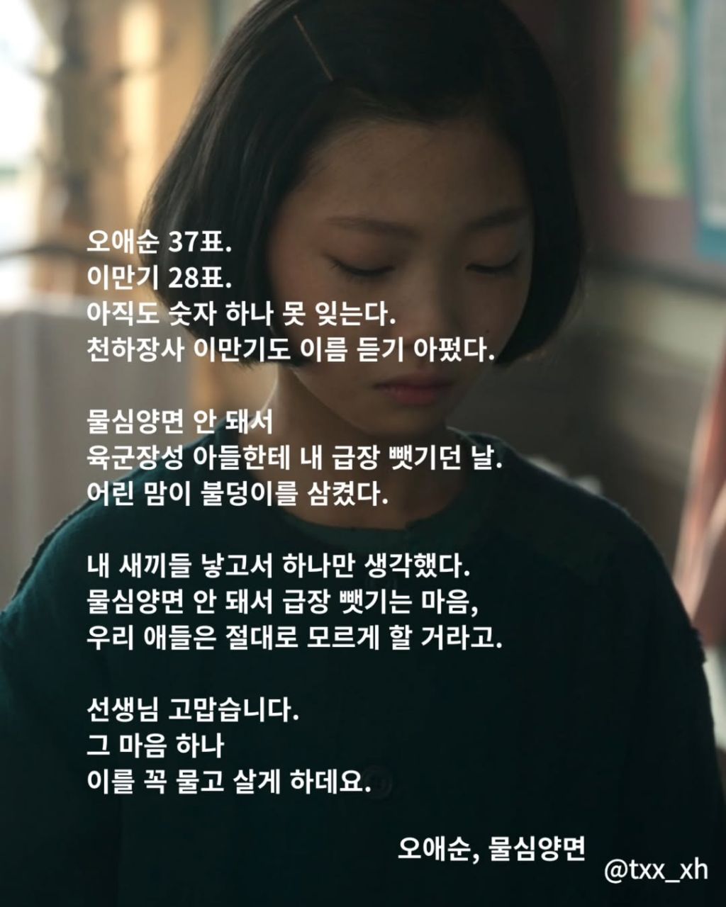 폭싹 속았수다 시 모음집 | 인스티즈
