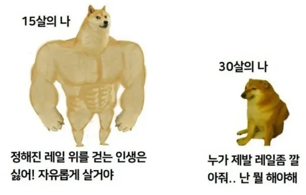 15살의 나 vs 30살의 나 | 인스티즈