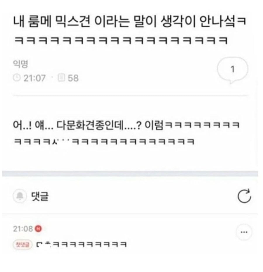 INTP 여시 웃음지뢰짤 모음 3 | 인스티즈