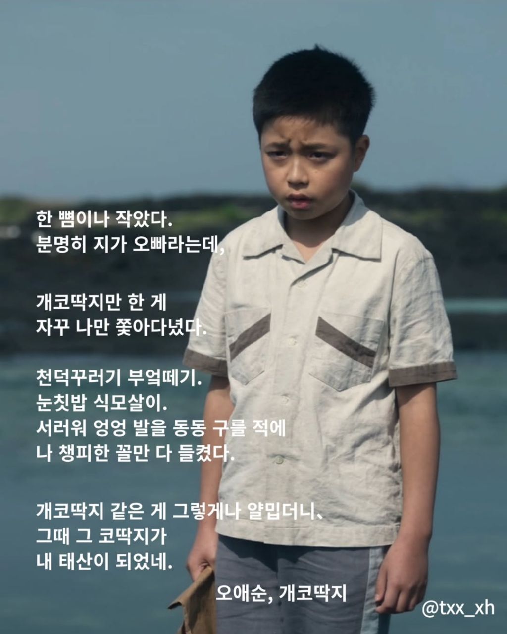 폭싹 속았수다 시 모음집 | 인스티즈