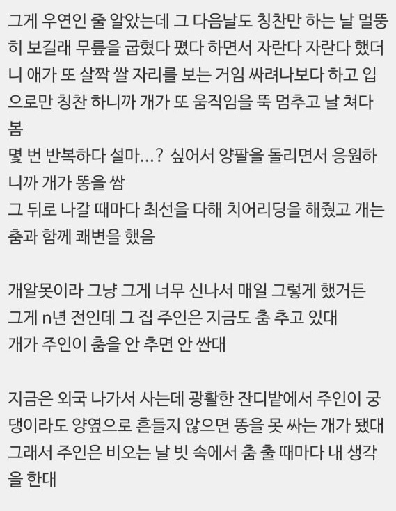 INTP 여시 웃음지뢰짤 모음 3 | 인스티즈