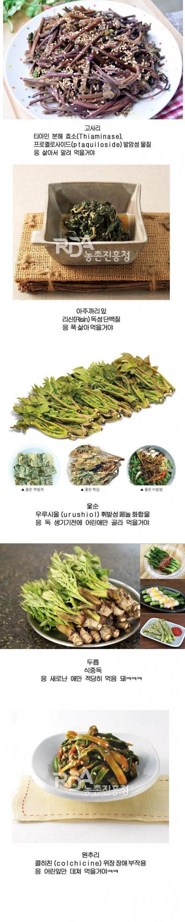 독초를 맛있게 먹는 한국인들 | 인스티즈