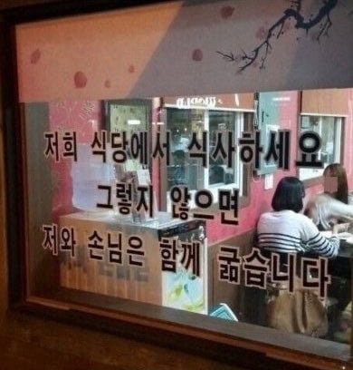 intp 여시 웃음지뢰짤 모음 4 | 인스티즈
