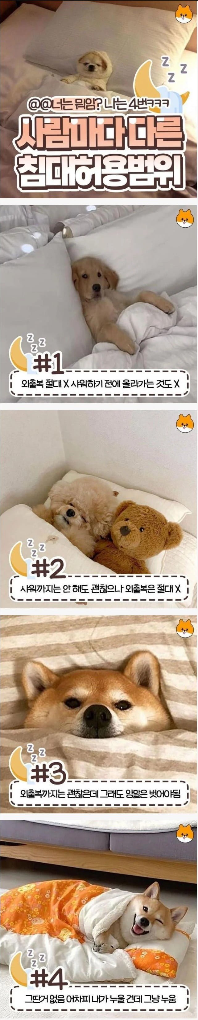 사람마다 다른 침대 허용범위 | 인스티즈