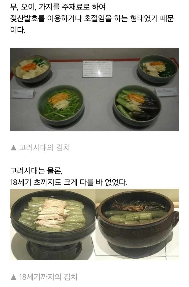 옛날 김치에 대해 알아보자.jpg | 인스티즈