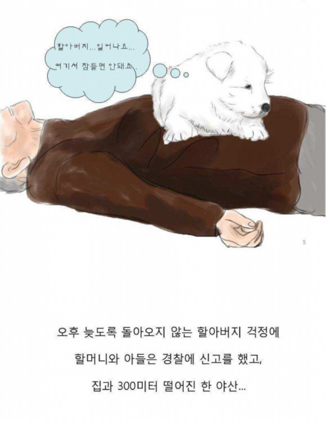 치매 할아버지를 지킨 아기 풍산개.jpgif | 인스티즈