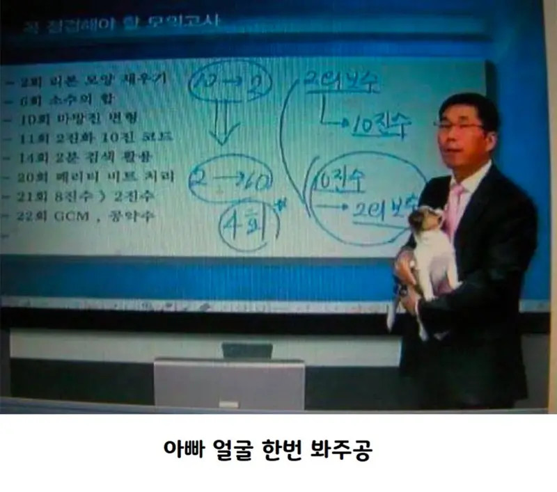 촬영 방해한 댕댕 | 인스티즈