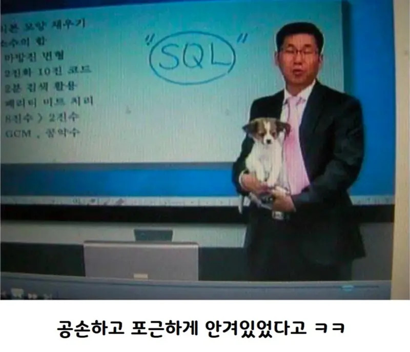 촬영 방해한 댕댕 | 인스티즈