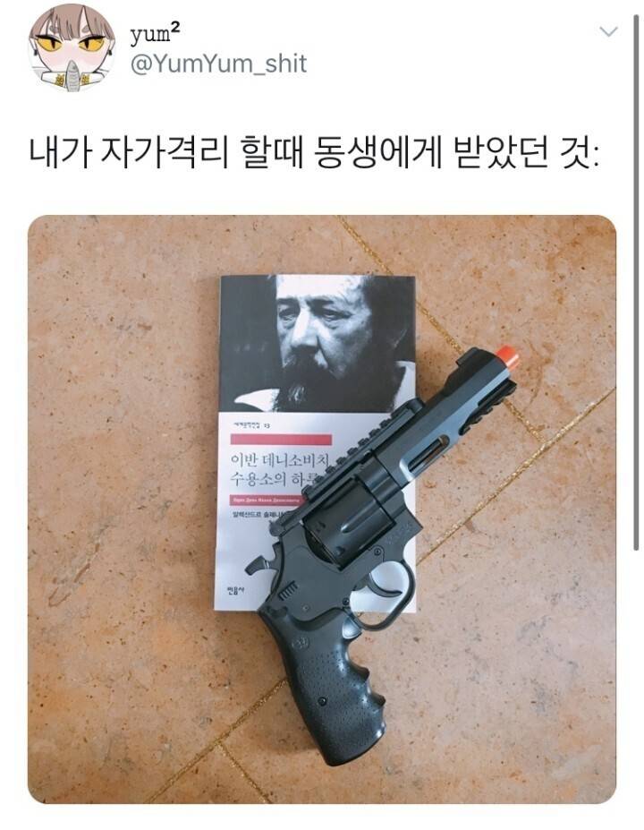 INTP 여시 웃음지뢰짤 모음 3 | 인스티즈