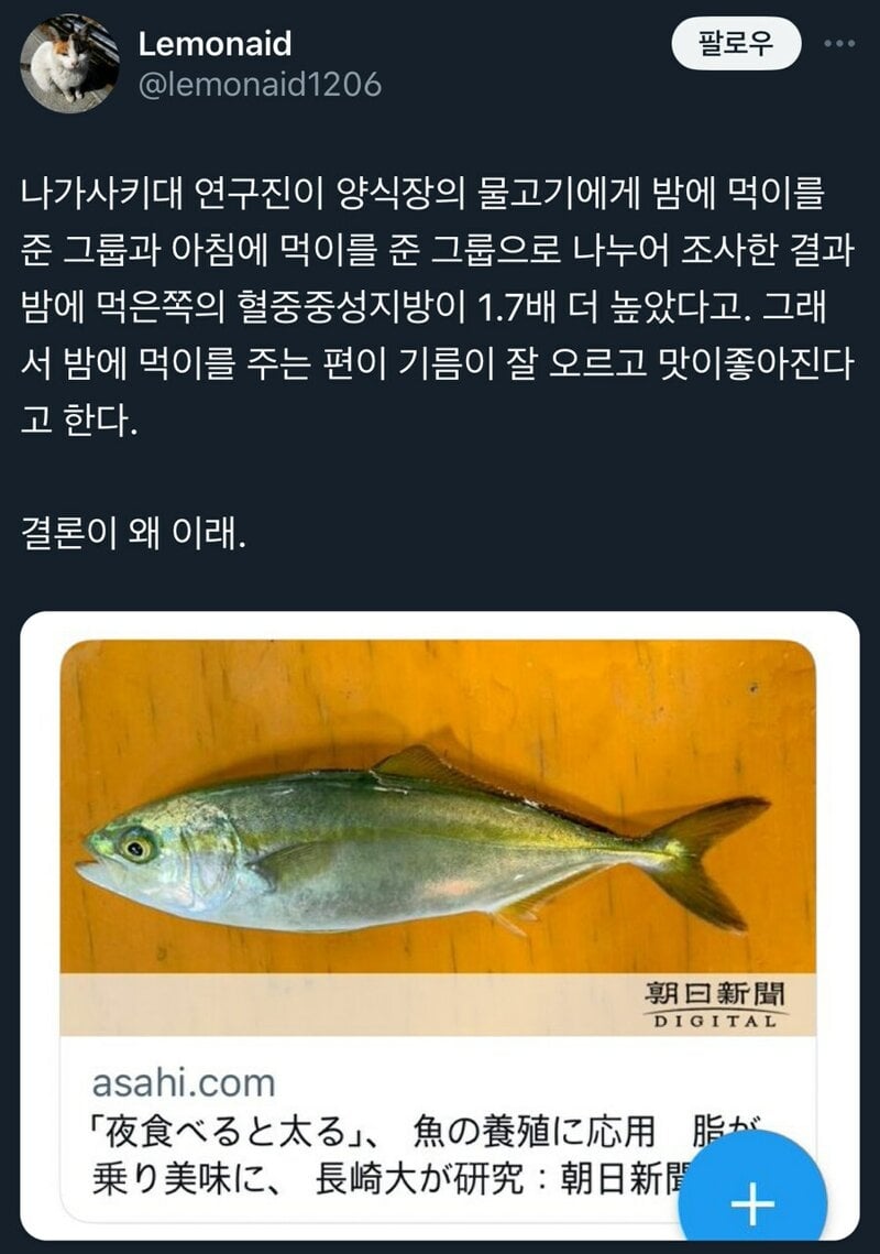 야식의 위험성 | 인스티즈