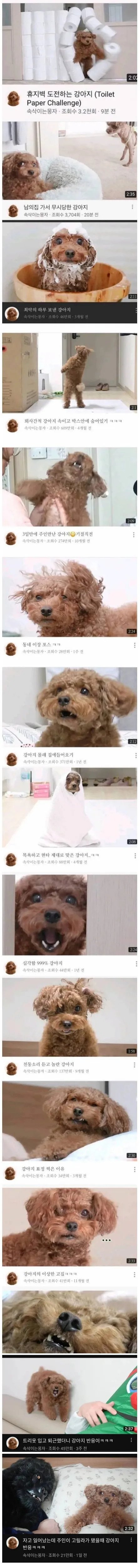 썸네일 잘 뽑는 댕댕이 유튭 | 인스티즈