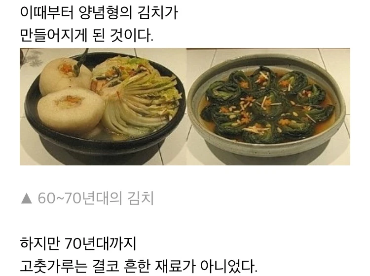 옛날 김치에 대해 알아보자.jpg | 인스티즈