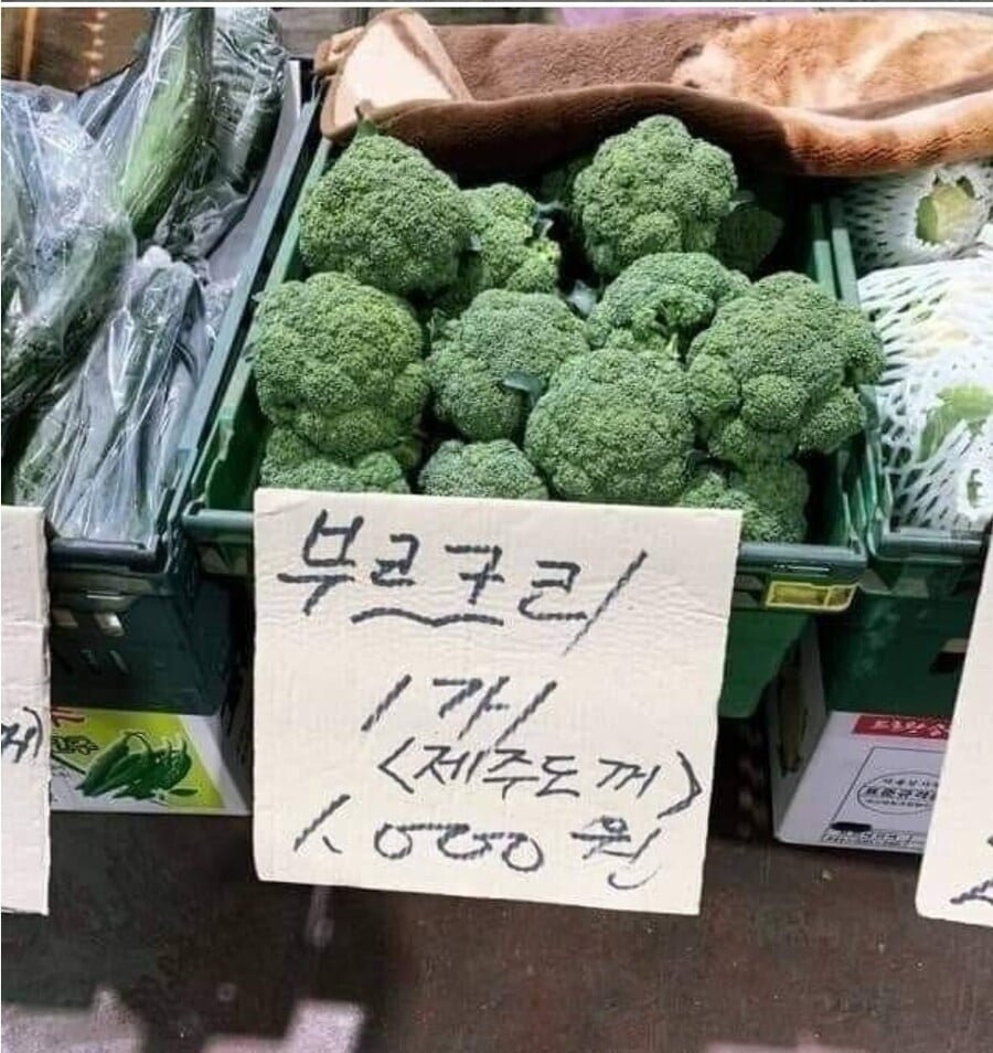 여러 이름으로 불리는 식재료 | 인스티즈