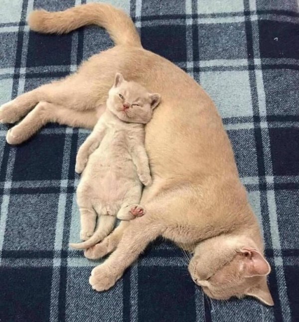 누가 봐도 얘가 얘 낳음 | 인스티즈