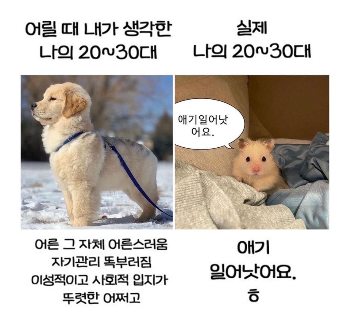 어릴 때 내가 생각한 나의 20~30대 | 인스티즈