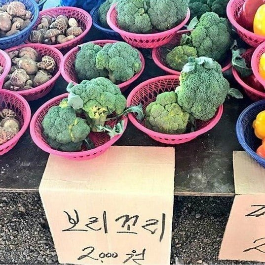 여러 이름으로 불리는 식재료 | 인스티즈