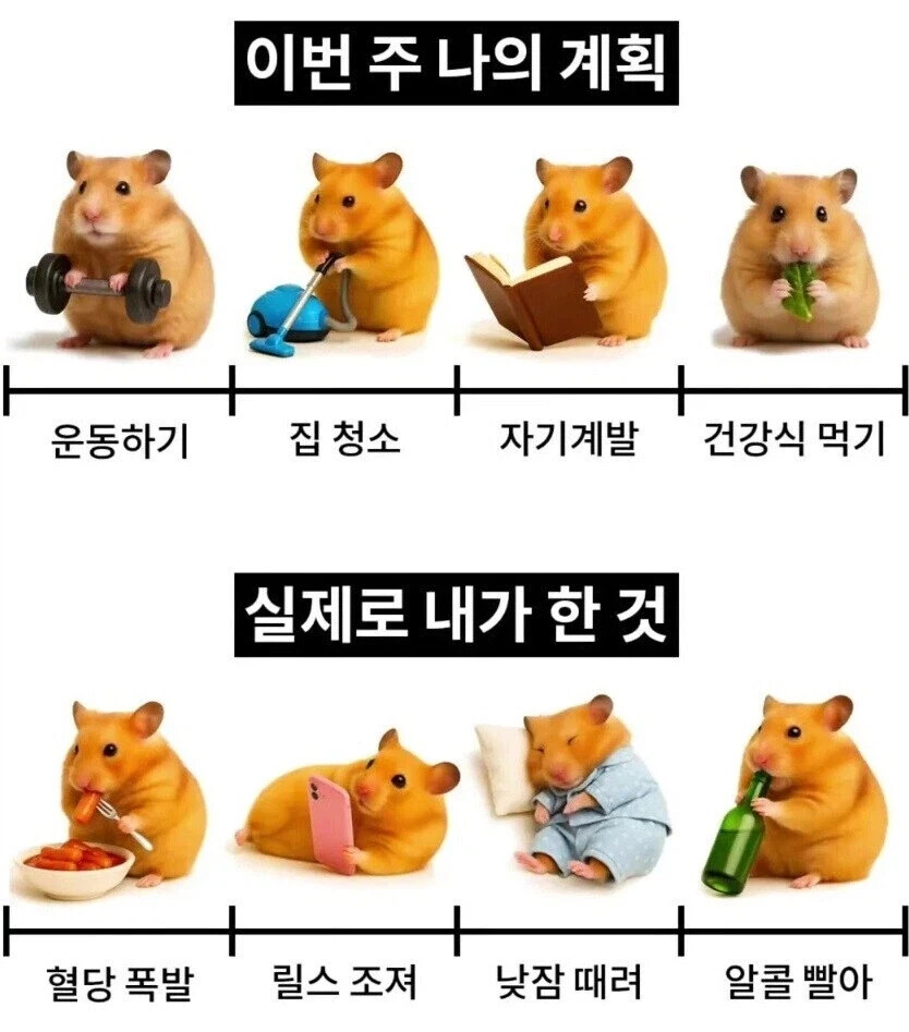 이번 주 나의 계획 vs 실제로 내가 한 것 | 인스티즈