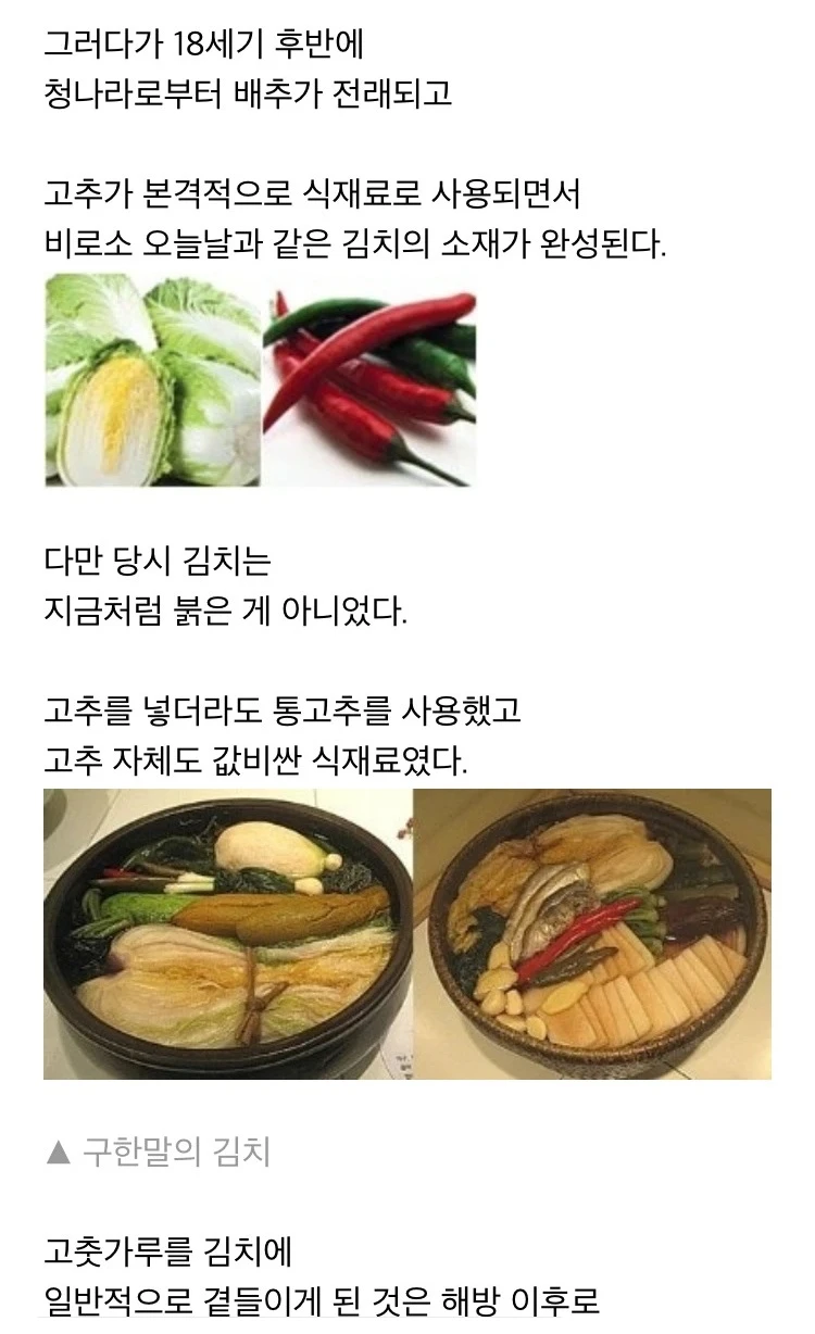 옛날 김치에 대해 알아보자.jpg | 인스티즈