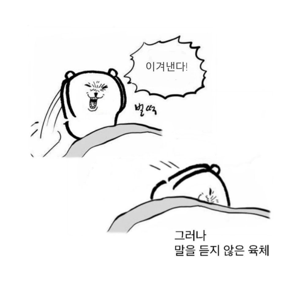 intp 여시 웃음지뢰짤 모음 4 | 인스티즈