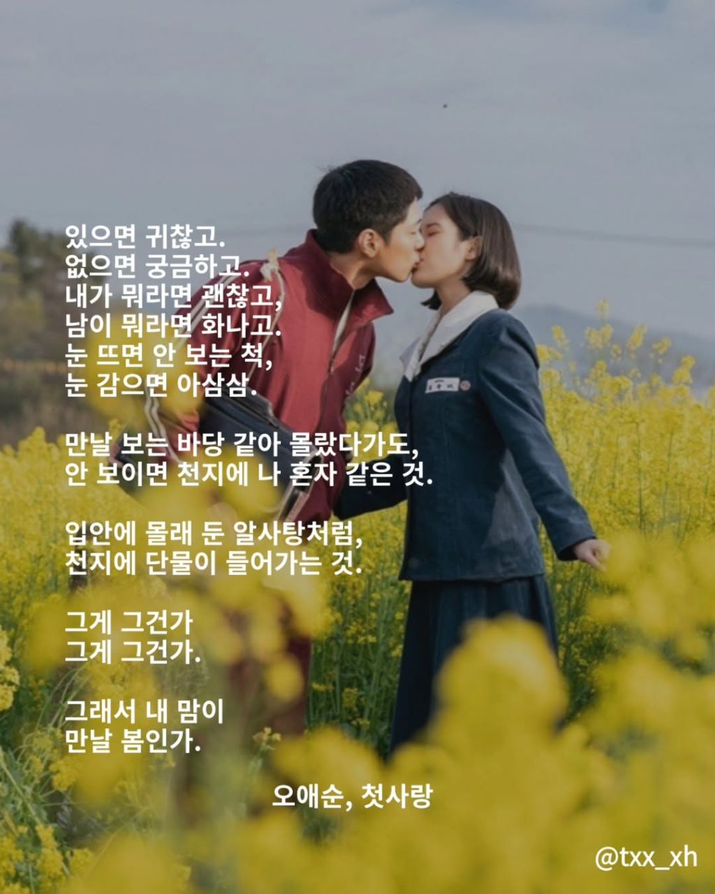 폭싹 속았수다 시 모음집 | 인스티즈