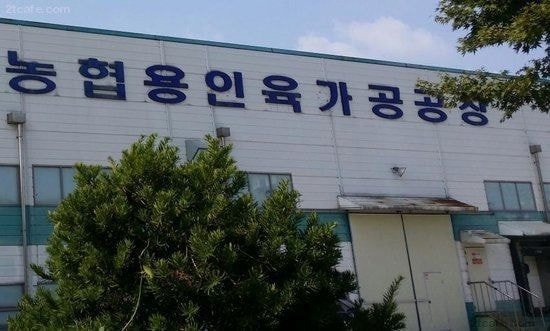 이름 잘못 지은 가게 | 인스티즈