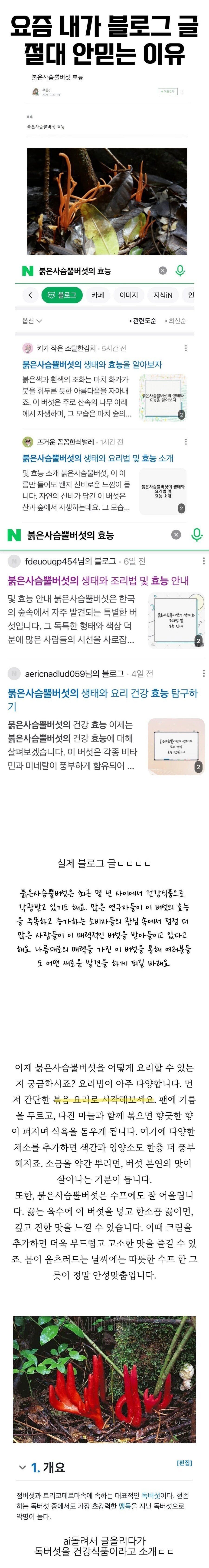 요즘 ㄴㅇㅂ 블로그 글 근황 | 인스티즈