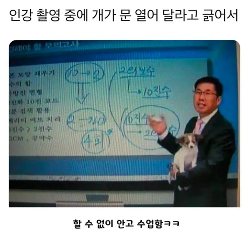 촬영 방해한 댕댕 | 인스티즈