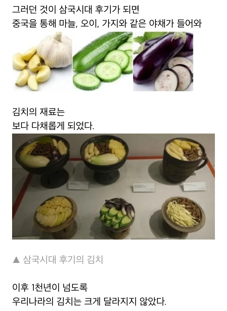 옛날 김치에 대해 알아보자.jpg | 인스티즈