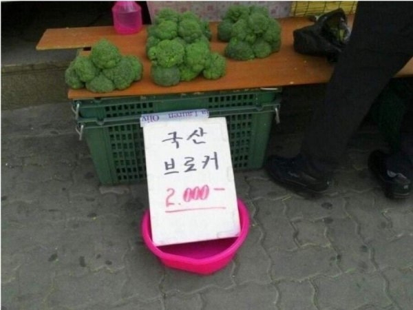 여러 이름으로 불리는 식재료 | 인스티즈