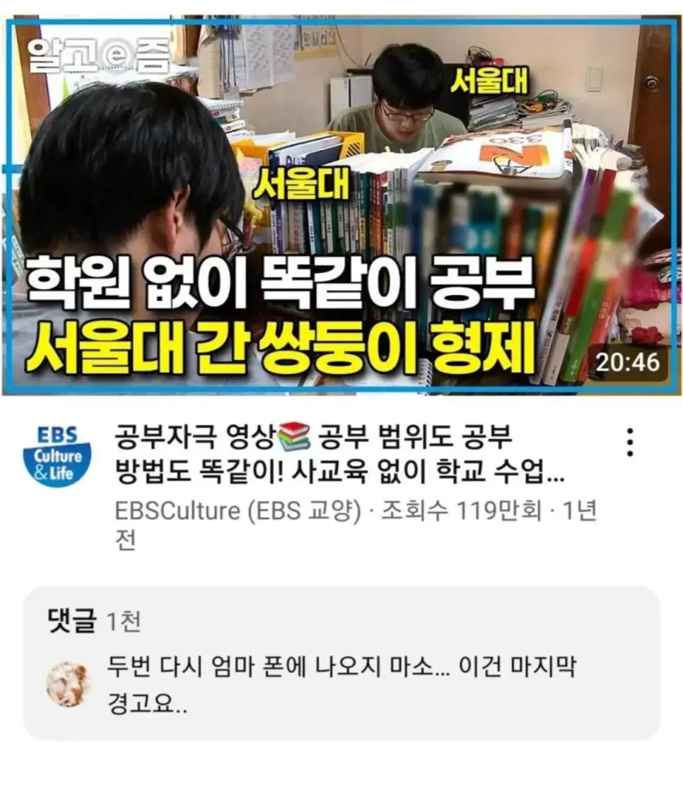 학원 없이 서울대 간 쌍둥이들을 향한 경고.jpg | 인스티즈