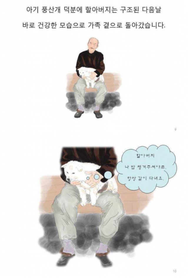 치매 할아버지를 지킨 아기 풍산개.jpgif | 인스티즈