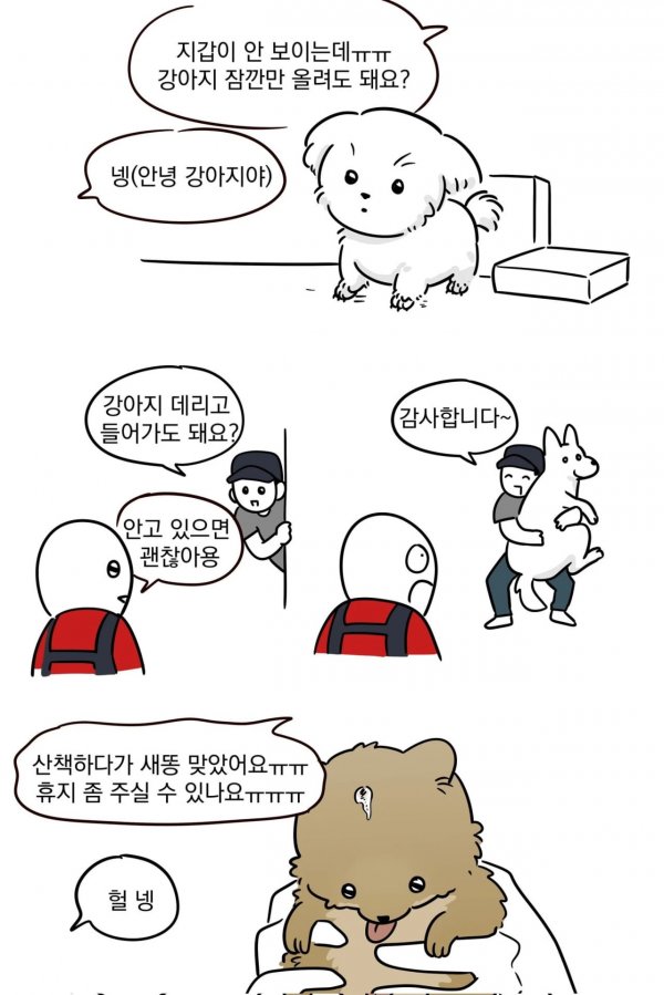 다이소 일할 때 만난 강아지들 | 인스티즈