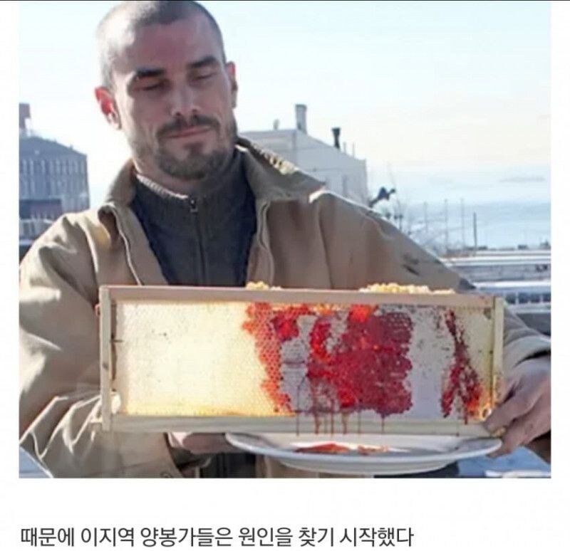미국 레드 허니 사건 | 인스티즈
