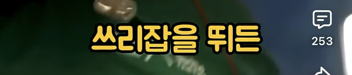 결혼관 얘기하는 덱스에게 애 안낳아봐서 모른다고 훈수두는 사람들 | 인스티즈