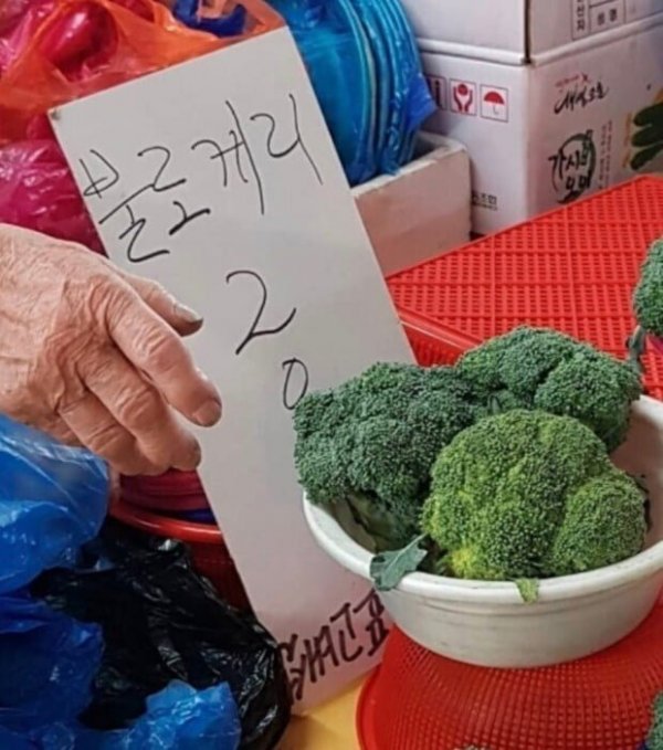 여러 이름으로 불리는 식재료 | 인스티즈