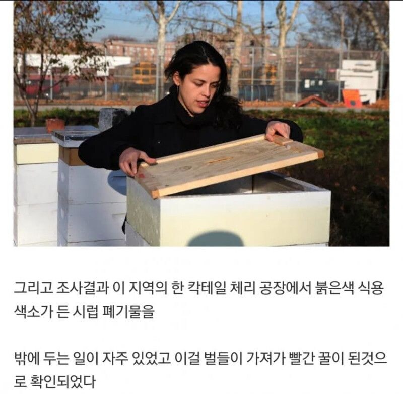 미국 레드 허니 사건 | 인스티즈