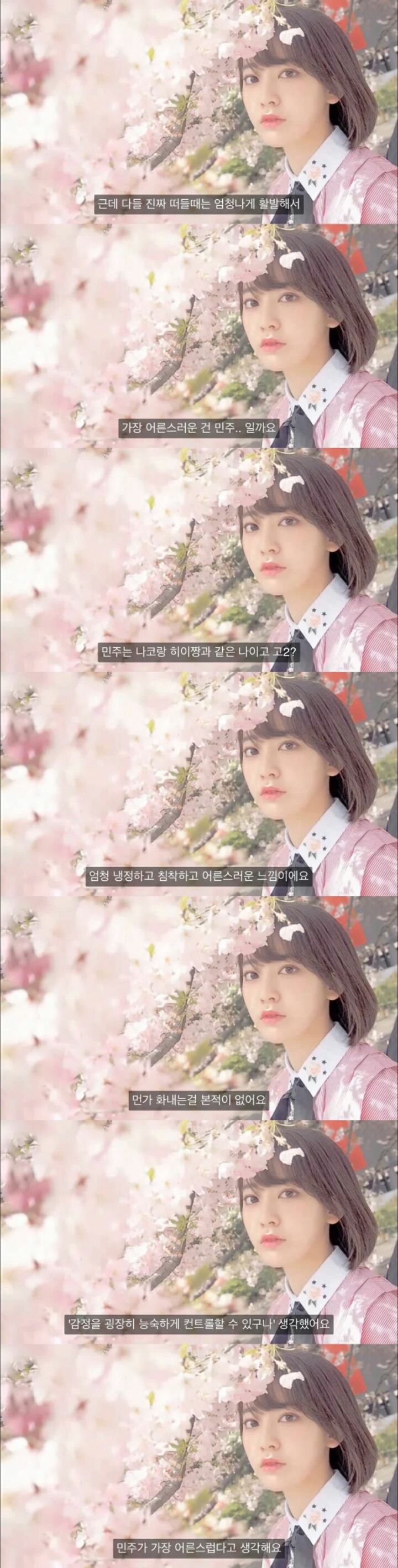 아이즈원) 사쿠라가 말하는 장원영, 안유진, 김민주 | 인스티즈