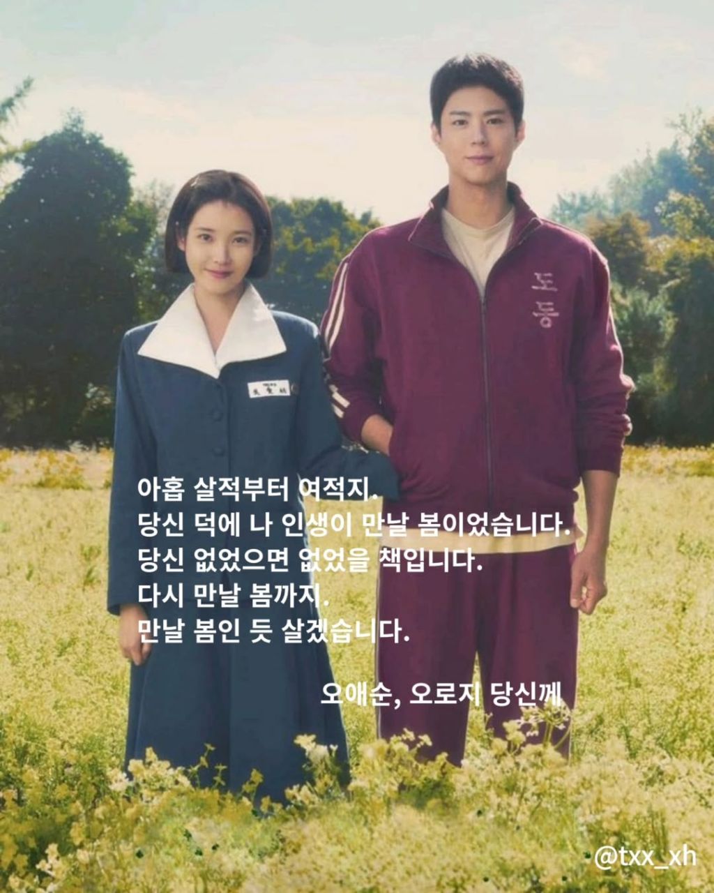 폭싹 속았수다 시 모음집 | 인스티즈