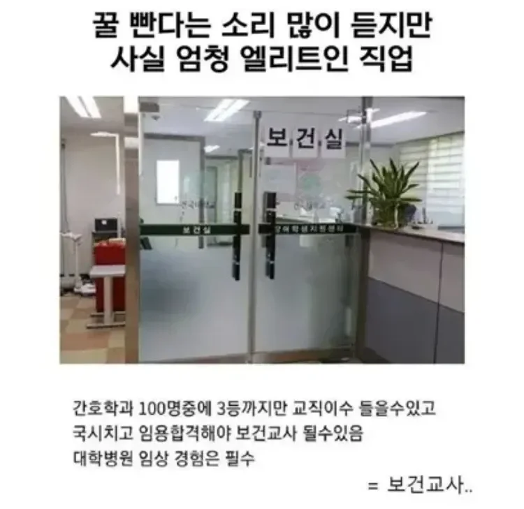 꿀 빤다고 하지만 실은 엘리트 직업.jpg | 인스티즈