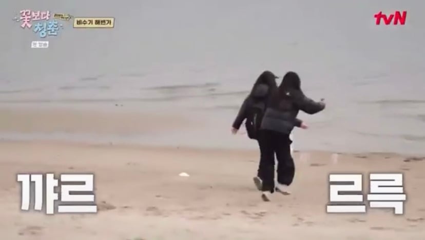 [꽃보다청춘] 박서준이 핸드폰 주워줘서 소녀들이 마이쮸 사줌.twt | 인스티즈