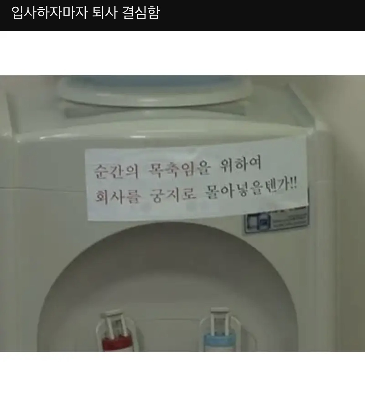 입사하자마자 퇴사 결심한 이유 | 인스티즈