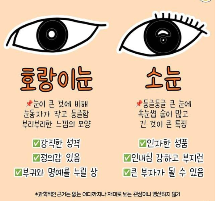 재미로 보는 눈 관상 | 인스티즈