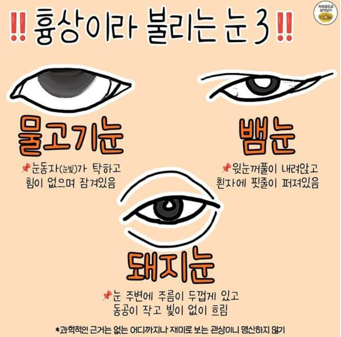 재미로 보는 눈 관상 | 인스티즈